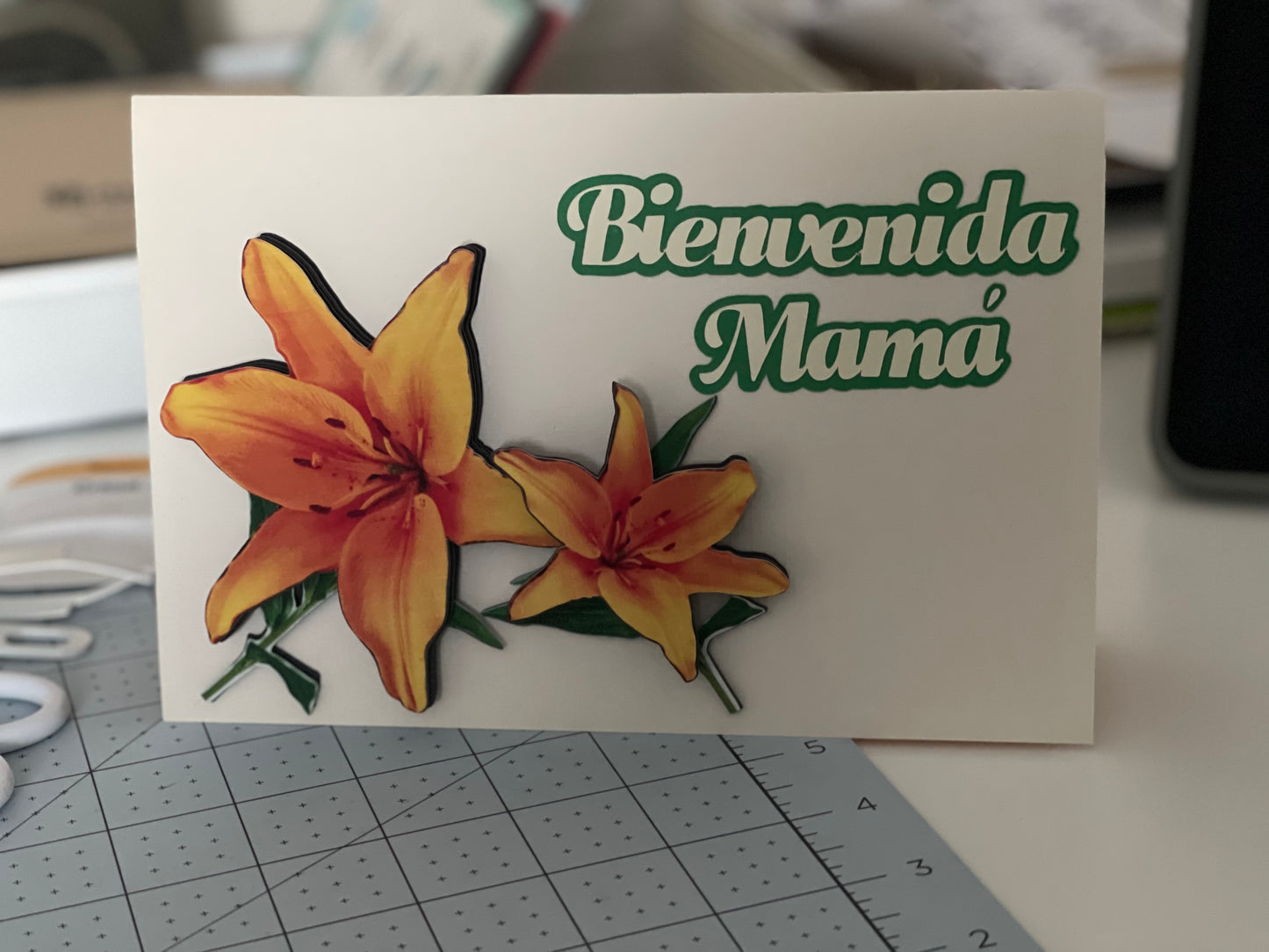 POSTALES PERSONALIZADAS